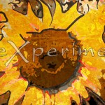 sunflowers abstract