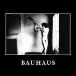 Bauhaus – Double dare (prevod pesme)
