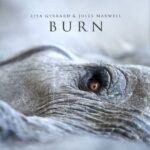 Novi album Lise Džerard: Burn